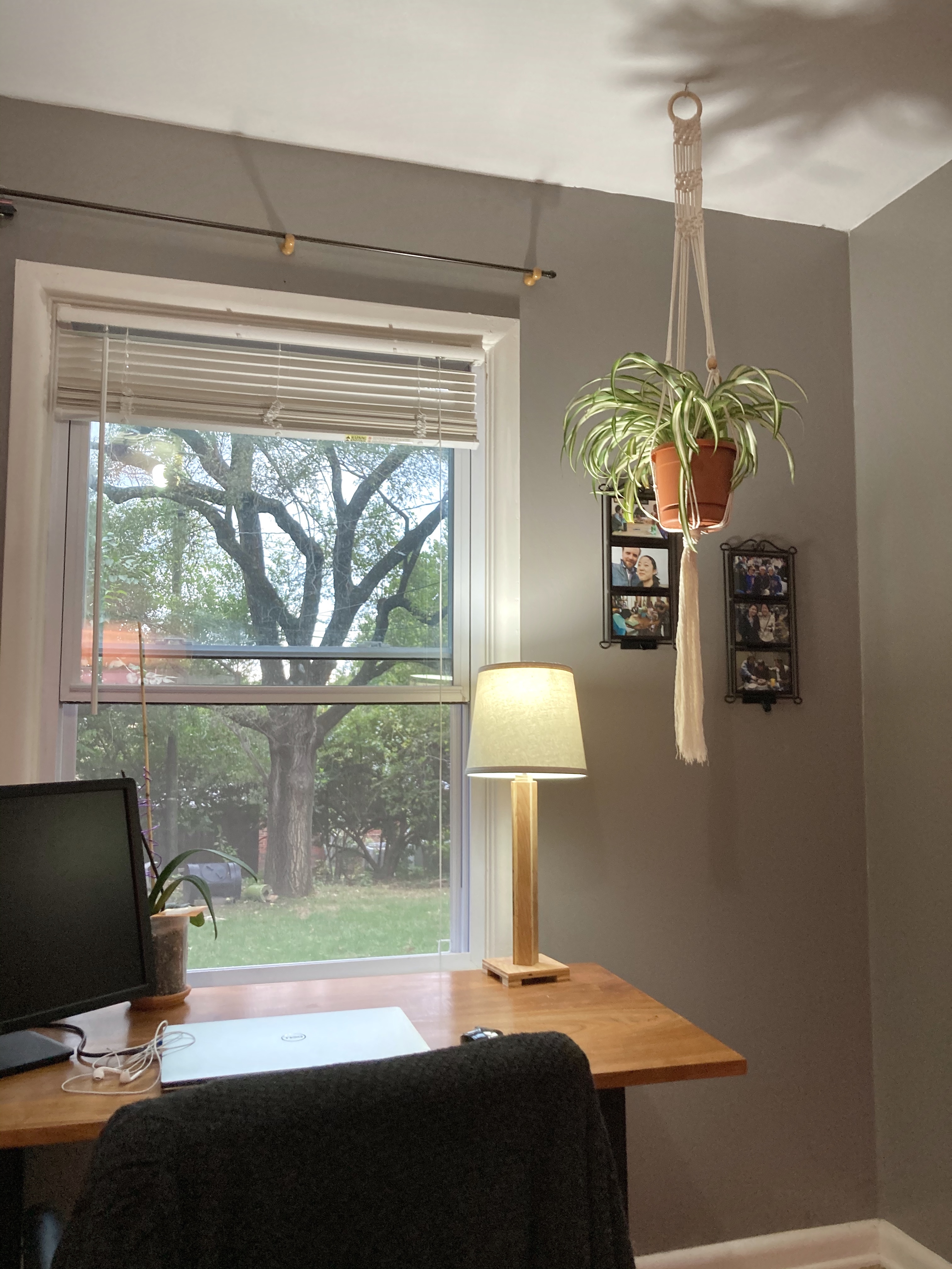 Macrame Plant Hanger